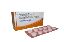  	franchise pharma products of Healthcare Formulations Gujarat  -	tablets tabmox 250 dt.jpg	